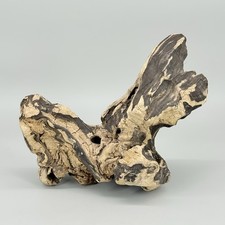 Zoo Med Driftwood Terrario