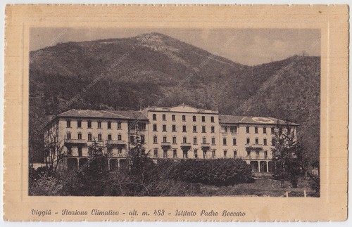 Cartolina viggiù varese - cartolina,