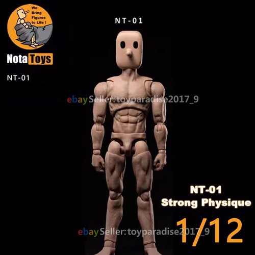 Nota studio notaman - nota,