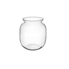 Terrario Bottle Garden Vaso