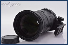 【COSÌ COM'È】 SIGMA DG