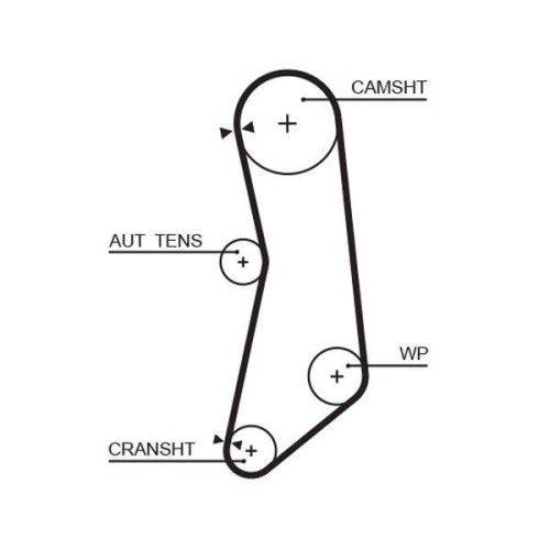 Cinghia distribuzione gates - distribuzione,
