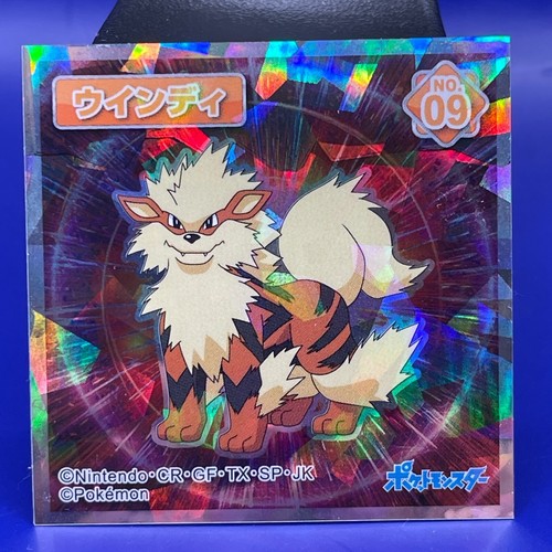 Pokemon rotte arcanine - rotte, card