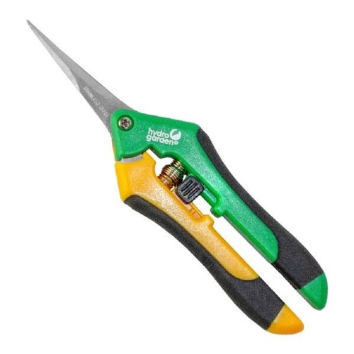 Scissors precision - scissors,