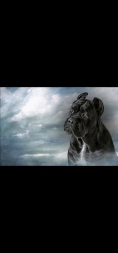Poster locandina quadro - poster,