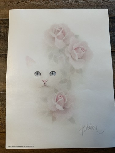 Stampa litografia gatto bob - litografia,