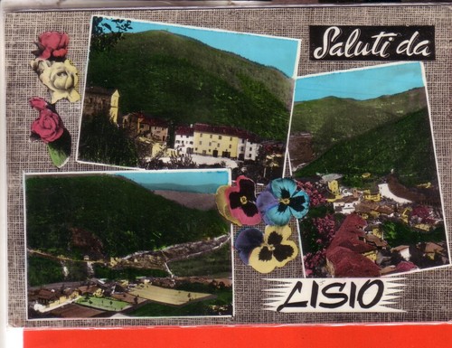 Cartolina lisio acqu - ,