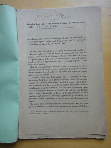 1868 prof adolfo - 1868-prof-adolfo, targioni