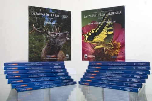 Fauna della sardegna - sardegna,