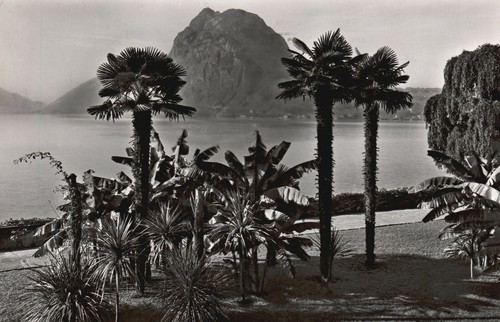 Lago lugano monte - monte, s