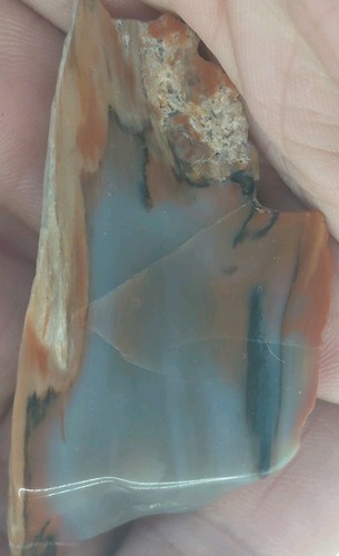 Lastra legno arcobaleno - lastra, di