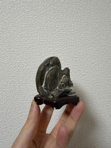 Suiseki bonseki bonsai - suiseki,
