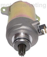 MOTORINO AVV. 11 DENTI per