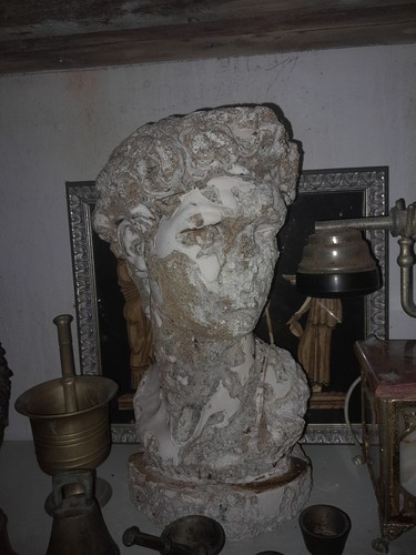 Busto david gesso statua - david,
