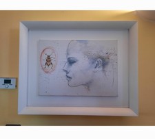 Angelo Accardi Insects, opera