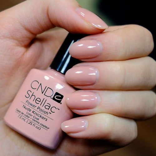 Cnd shellac nude knickers - knickers, 7,3
