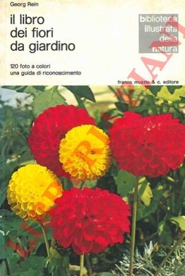 Rein georg il libro dei - rein,