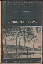 Giacobbe - Il Pino Marittimo -