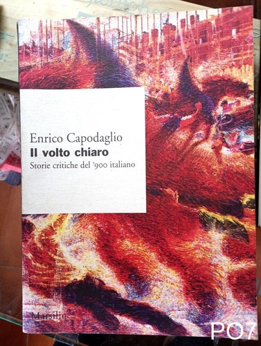 Volto chiaro storie - il,