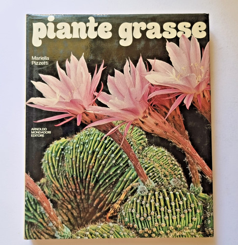 Succulente cactus piante - :,