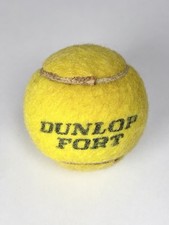 Pallina Tennis Dunlop Fort