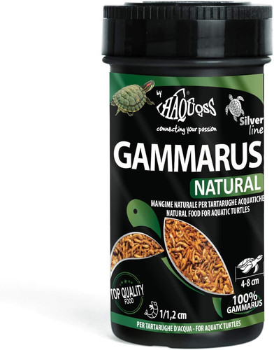 Gammarus mangime naturale - gammarus,