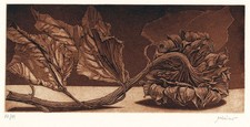 BRUNO MISSIERI  - GIRASOLE  Acquatinta - CALCOGRAFIA - INCISIONE