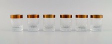 Sei tazze vodka grappa in - sei,