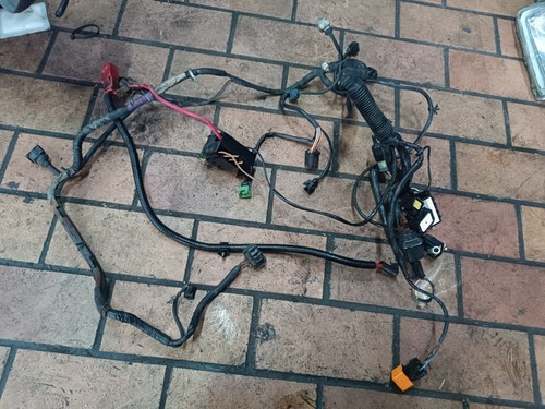 Cablaggio cablaggio motore