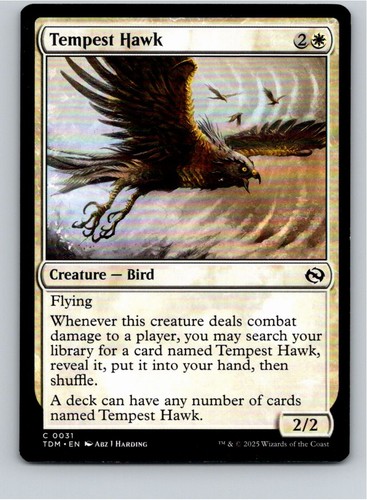 Magic the gathering - magic,