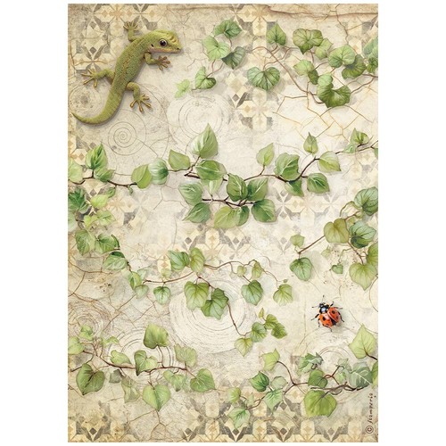 Carta riso all around - di,