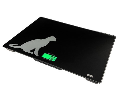 Albero scala veterinaria vs - albero,
