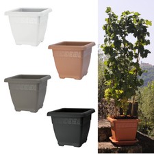 Vaso per piante - piante, quadrato