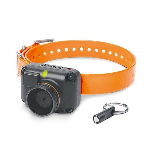 Dogtra stb hawk beeper - dogtra,