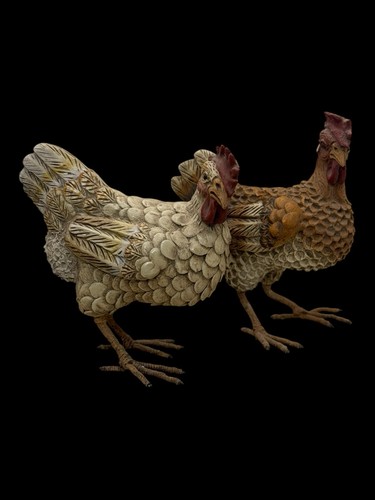 Coppia galline animale - coppia,
