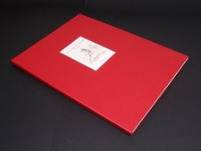 INDIANE portfolio di Paolo