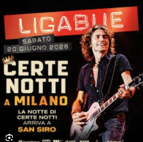 Biglietti concerto ligabue - 3,