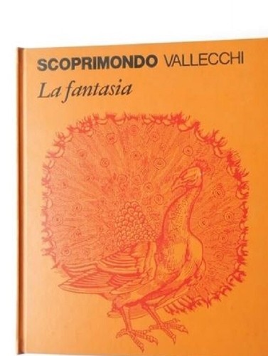 Scoprimondo fantasia - scoprimondo,