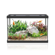 Aqpet Acquario One Mini In Vetro Accessoriato Completo 20 Litri Nero Accessorio