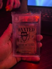 One Piece Wanted Poster