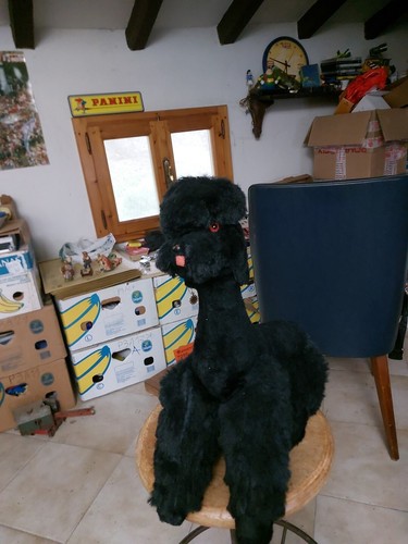 Peluche stupendo cane - peluche,