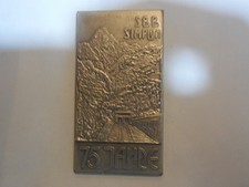 tessera gettone biglietto ferroviario Brig Domodossola 1981 treno