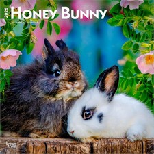 Honey Bunny | Calendario da