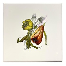 Piastrella ceramica italiana