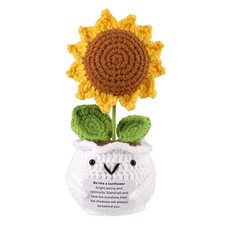 Girasole Positivo, Girasole