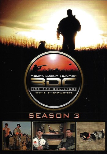 Bird dog challenge - bird,