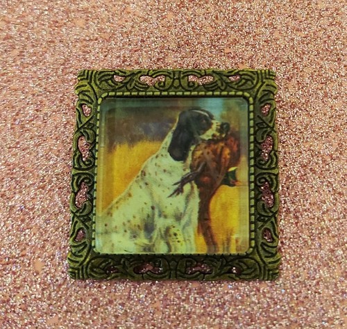 Setter inglese cane - da, caccia