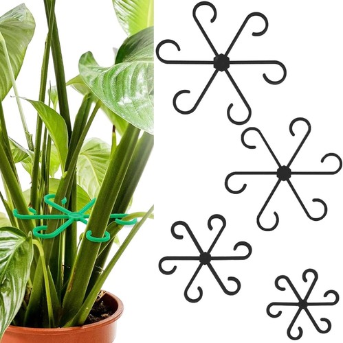 Pezzi monstera supporto - monstera,