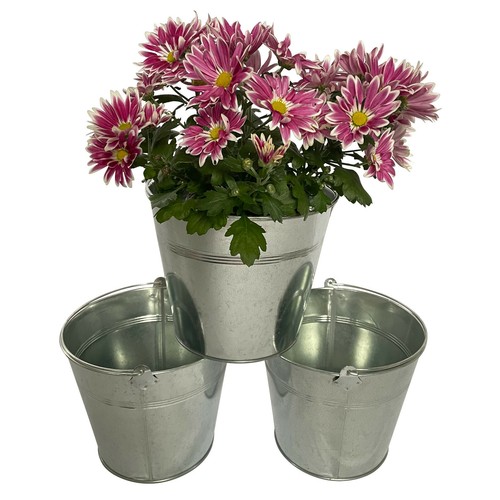 Set vasi fiori - 3, da