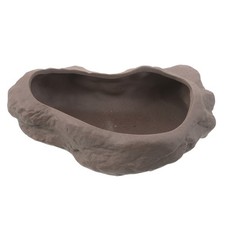 Fioriera decorativa pianta di